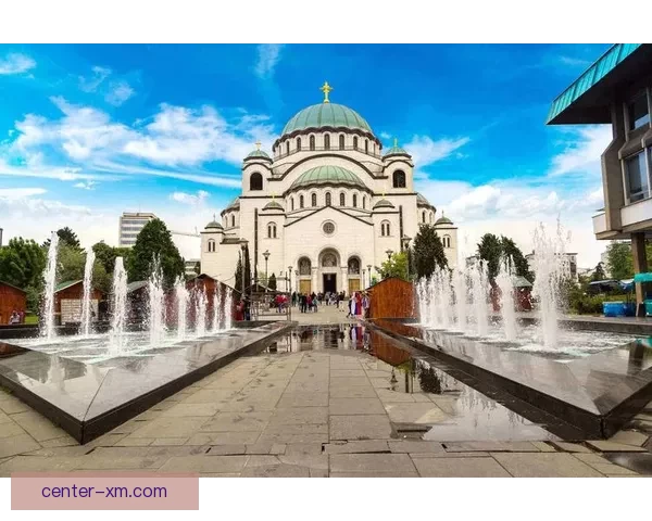 世界杯体育竞猜盘口深度解析与投注技巧全面指南